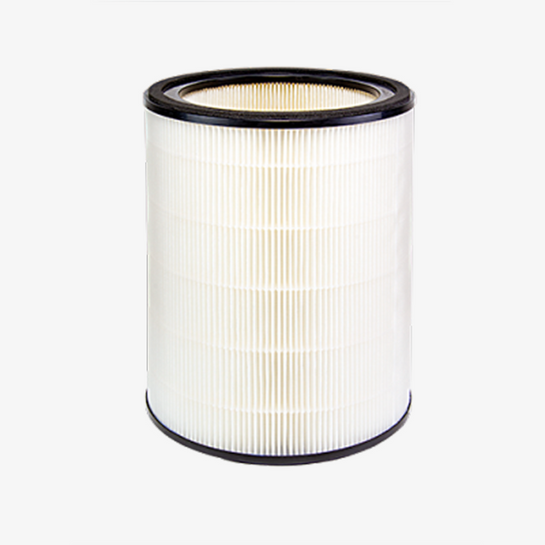 ION HEPA Filter Replacement (Pro) w/ ODOGard
