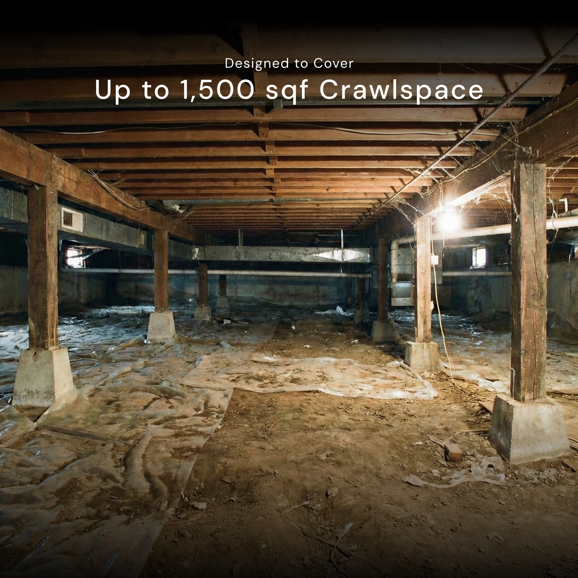 Crawlspace Detox Kit