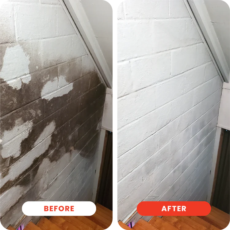 DOT Extra Strength Mold Stain Remover (32oz packet)