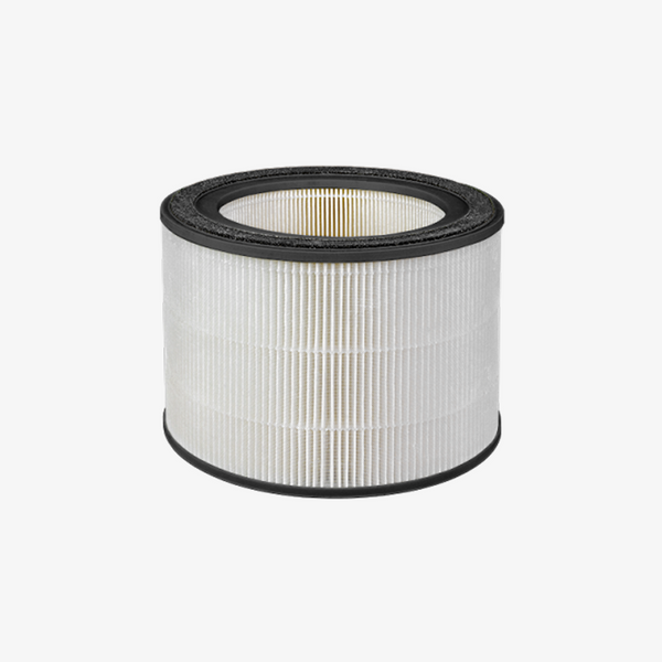 ION HEPA Filter Replacement (Room) w/ ODOGard