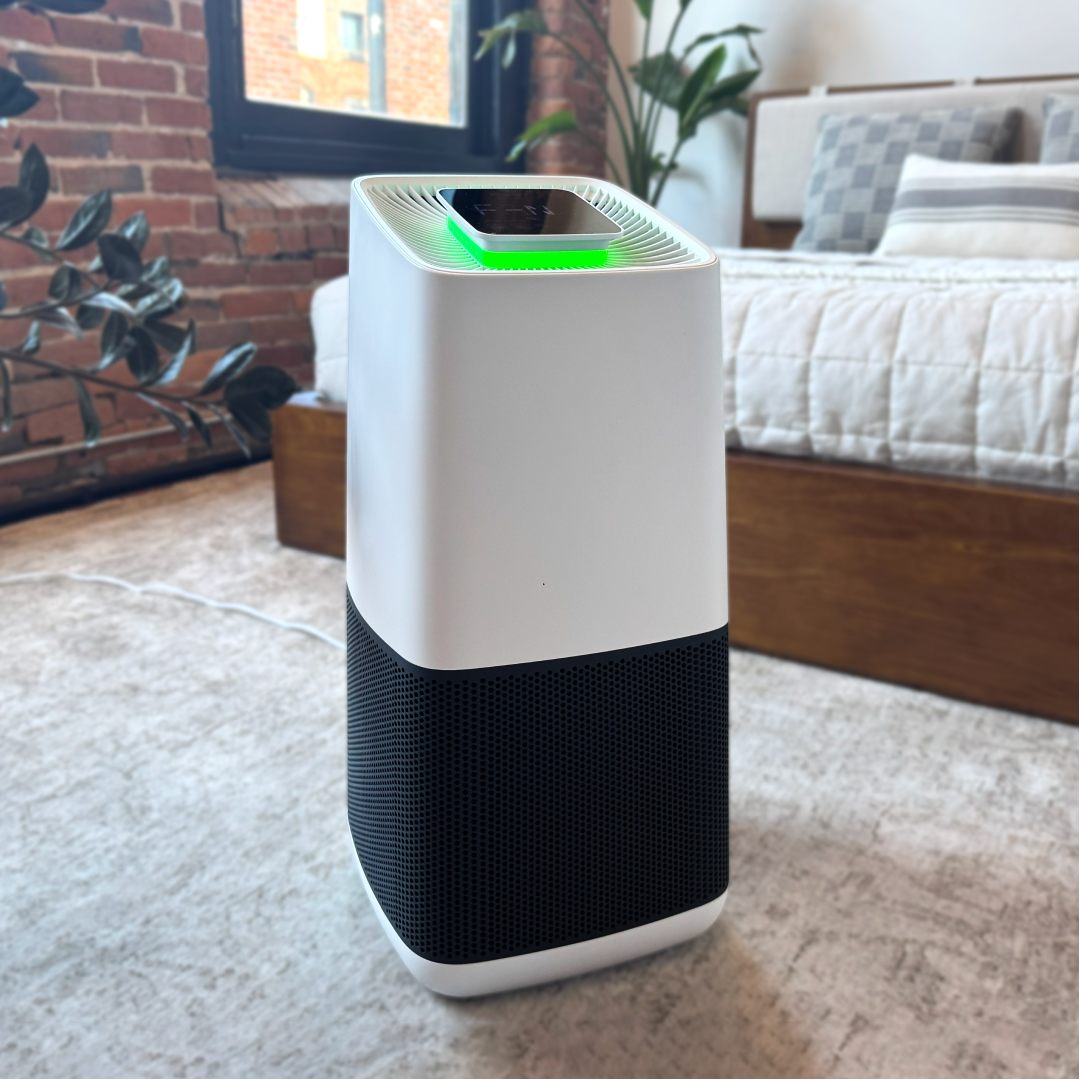 Ion Pro